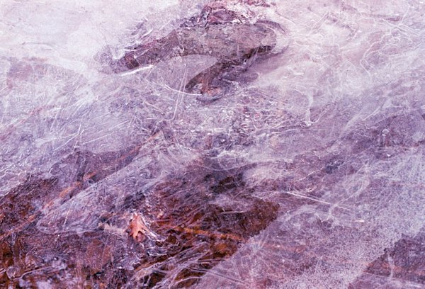 A-Gosselin-Catskills-Experimental-9
