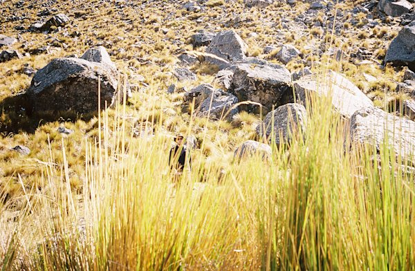 The-Field-Salkantay-Machu-Picchu-15