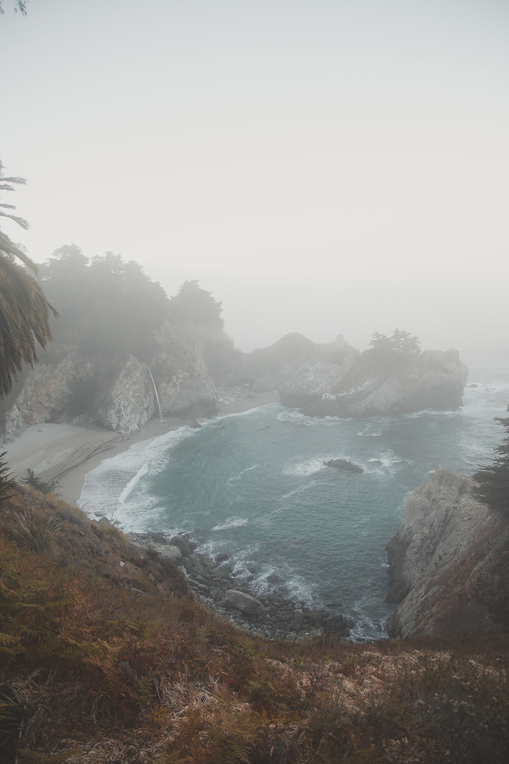 MacDonald-BigSur-SF-4