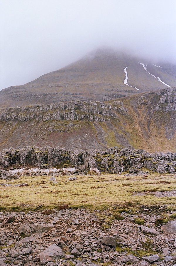 Nicola-Anderson-Iceland-10
