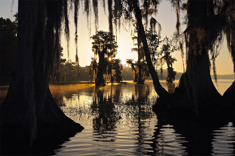 image by Tim Palmer, courtesy Rizzoli