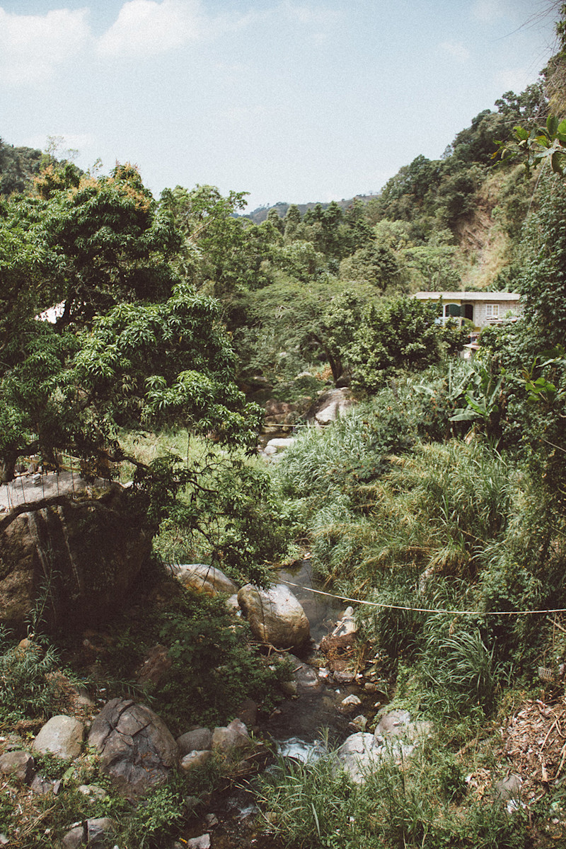Grams-Jamaica-14