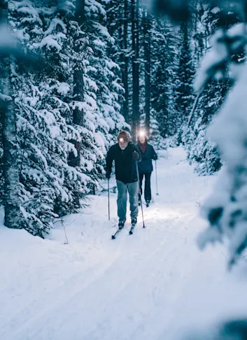 Your Modern Guide to a Winter Classic: Cross-Country Skiing