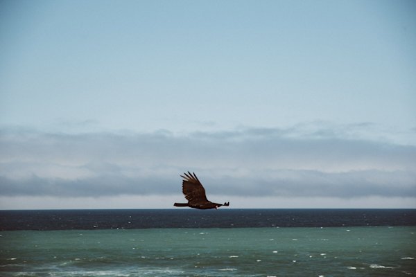 Colton-Jacobs-Lost-Coast-7