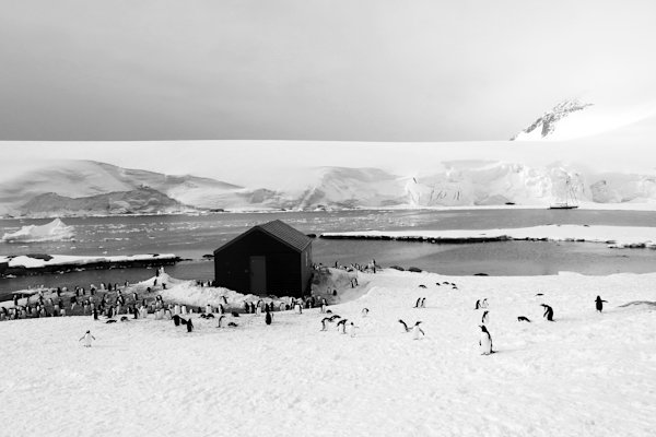 Losse-Antarctic-Icebreaker-9