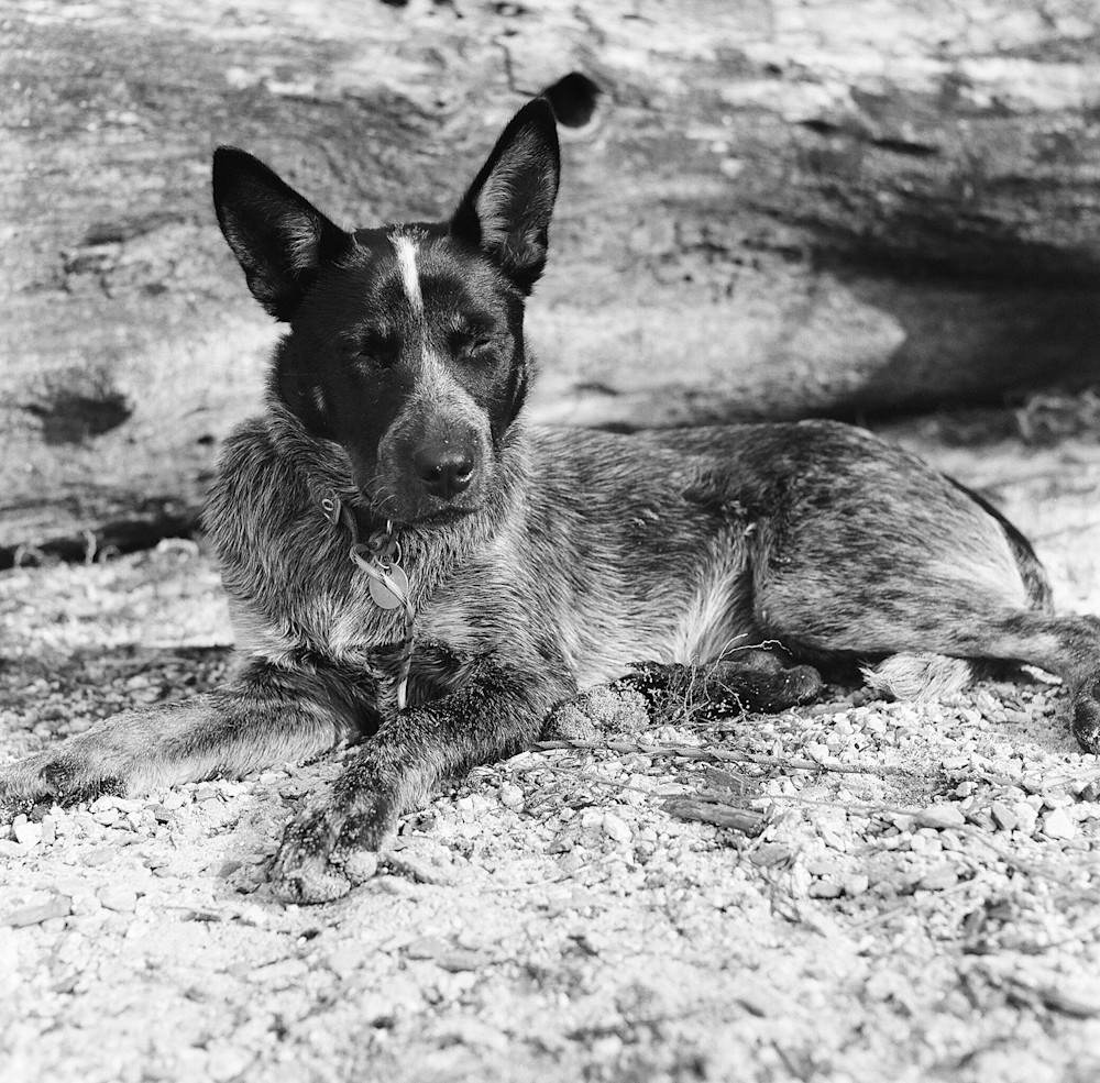 Elias-Carlson-UpperPriestLake-9