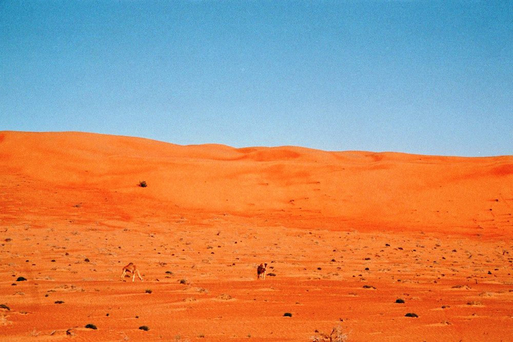 Nicola-Odemann-Oman-Desrt-8
