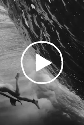Jungle by Filmmaker Morgan Maassen