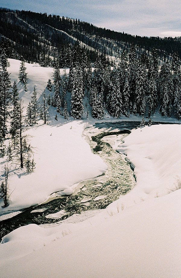 Wyoming-Backcountry-Sled-Field-Mag-8