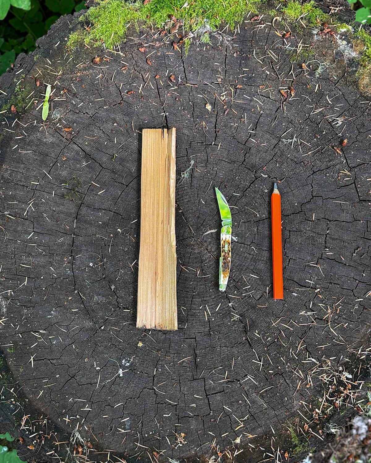 Case-Knife-Spoon-Carving-Blank