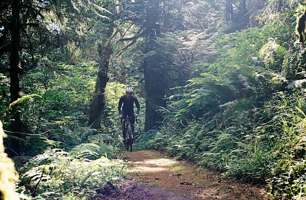 Olympic-Peninsula-Diverge-13