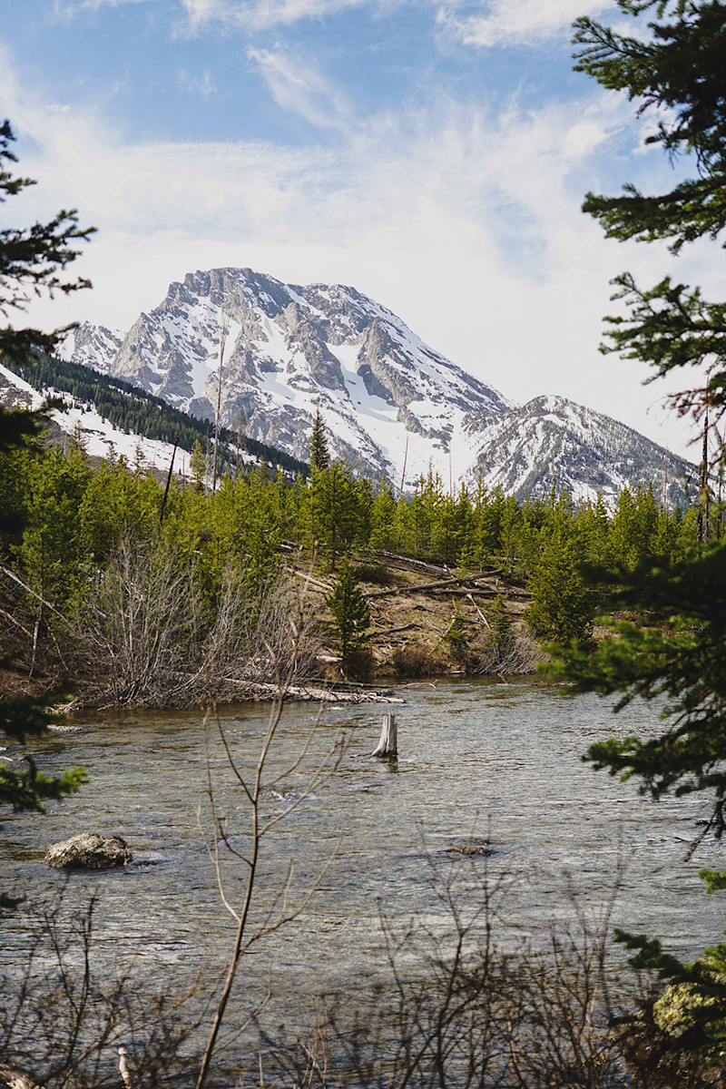 Andrew-Wee-Teton-Yellowstone-12