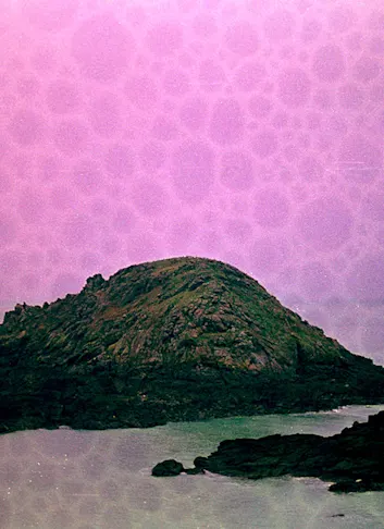Expired Film Captures the Color of Dreams in Brittany, France