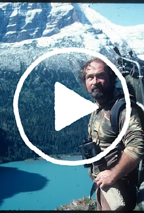 Short Film "Grizzly Country" Inspires to Protect the Voiceless