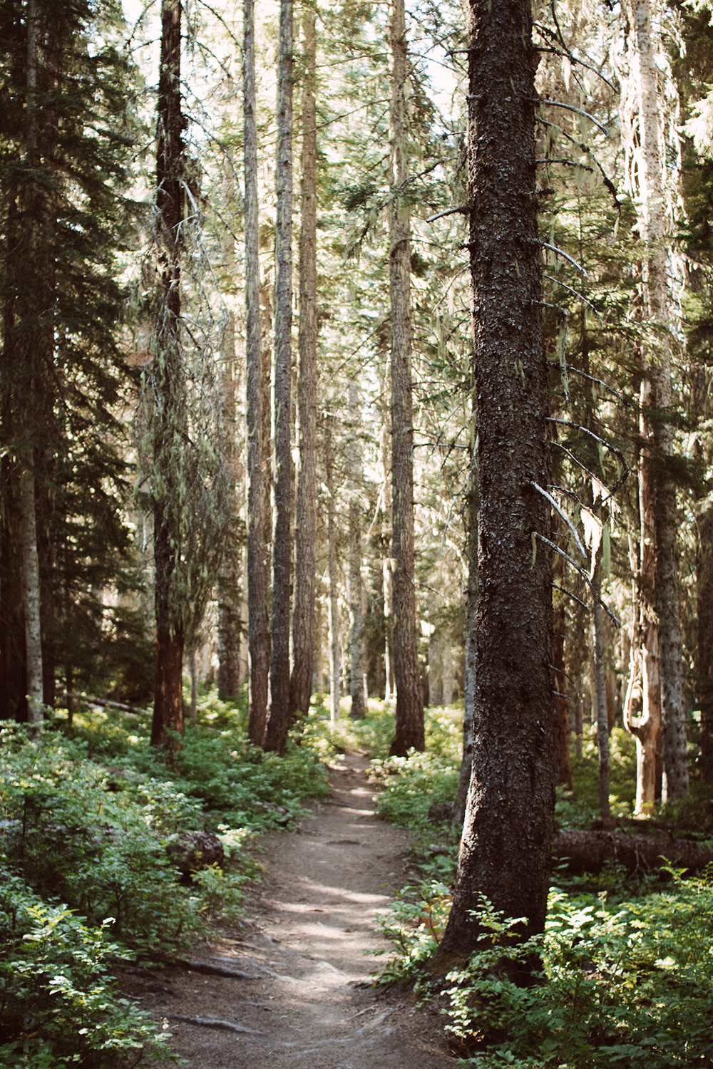Solo Hiking Washington's Alpine Lakes Wilderness