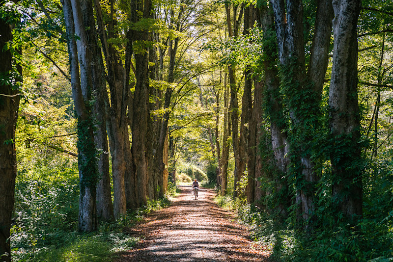 Delaware Water Gap Bikepacking, Just Outside of New York City
