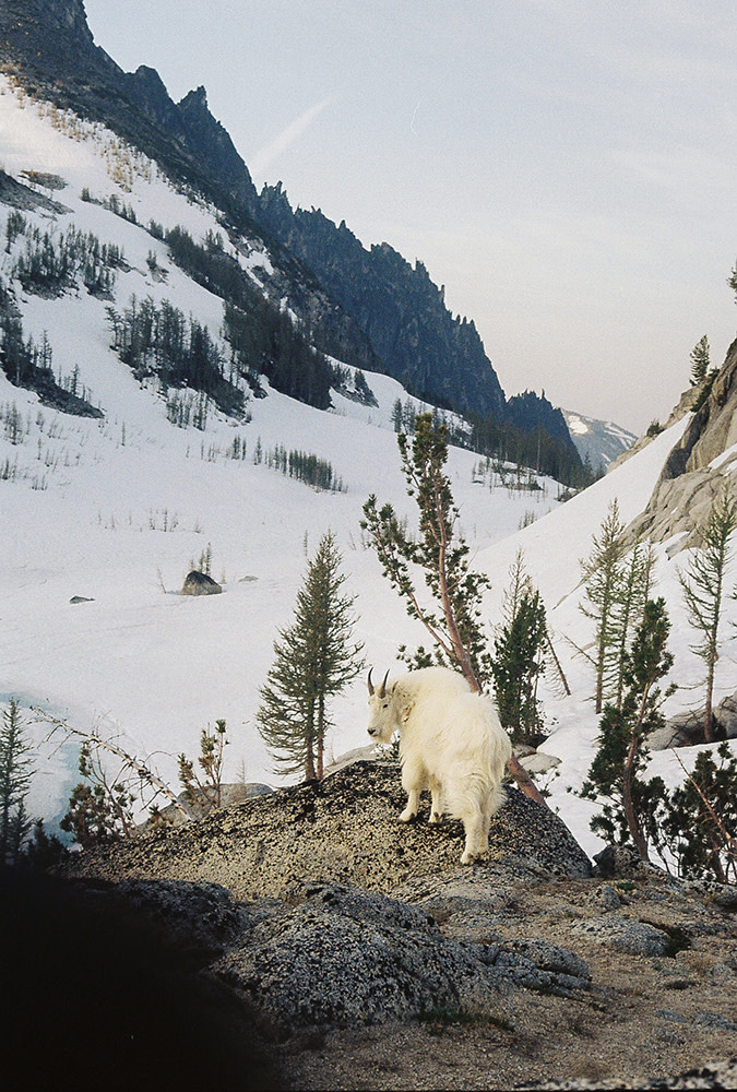 Nash-Rood-Enchantments-Fieldmag-9