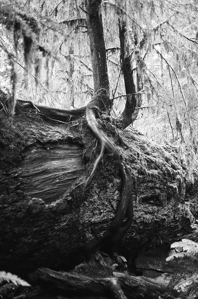 Nash-Rood-Rialto-Beach-BW-Fieldmag-2