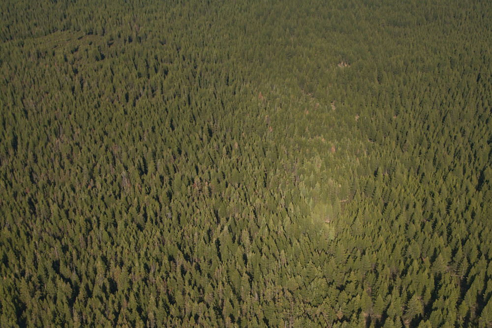 The-Field-Cascade-Heli-2