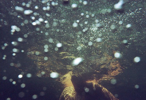 A-Gosselin-Catskills-Experimental-8