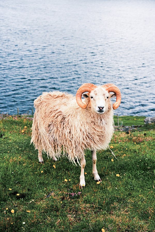 Jaka-Bulc-Faroe-Islands-16