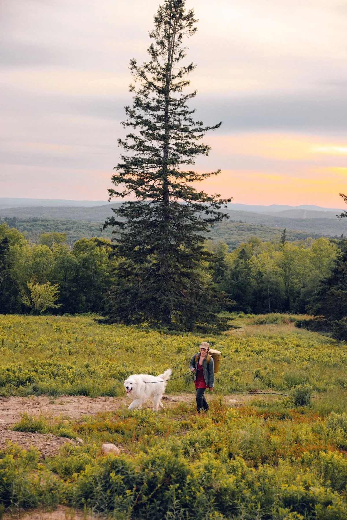 lantern-camp-hotel-review-maine-trails