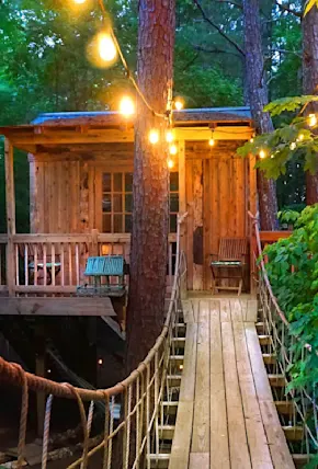 The 11 Best Treehouse Rentals in Georgia