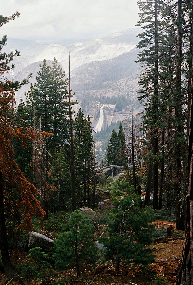 Nash-Rood-Yosemite-El-Cap-3B