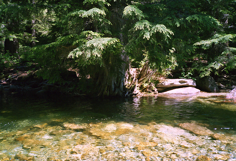 Elias-Carlson-Spring-Idaho-9