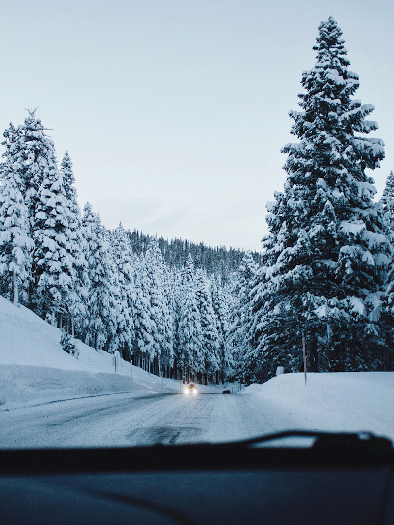 Sarah-Attar-Eastern-Sierra-8
