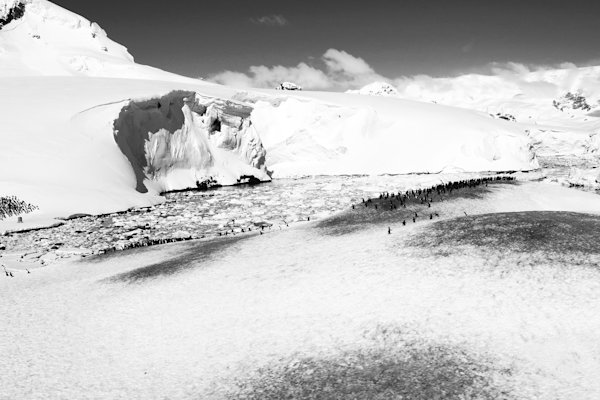 Losse-Antarctic-Icebreaker-16