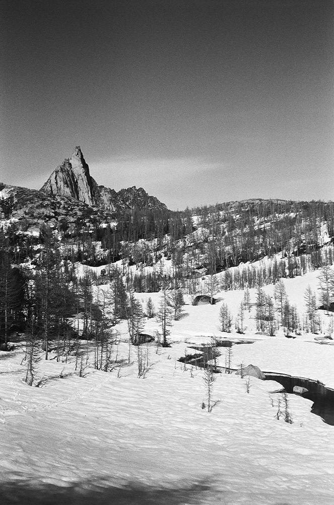 Nash-Rood-Enchantments-Fieldmag-BW-4