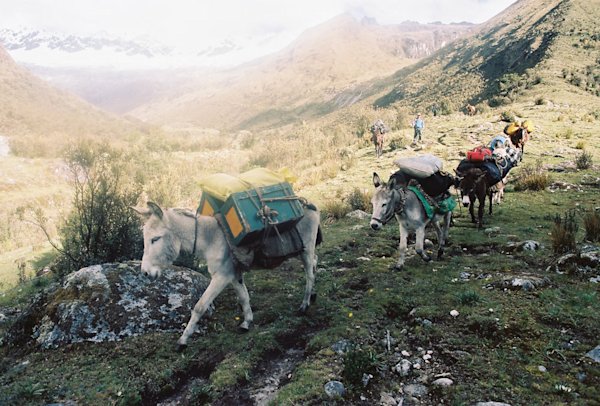 Forrest-Smith-Peru-Field-Mag-1