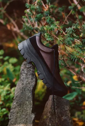 The Easy Hiker from Finland's Tarvas Treads Through Towns and Over Trails