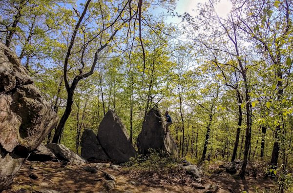 rhode-island-climbing-fieldmag-12