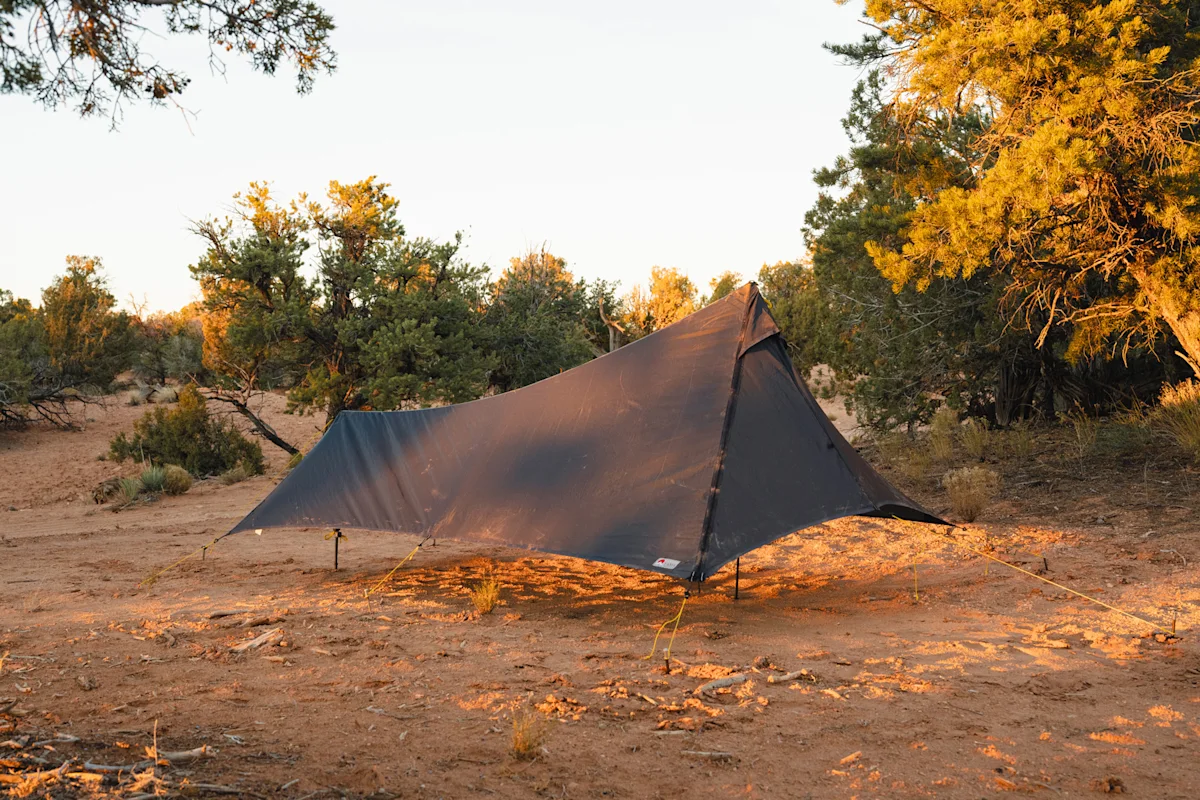 danielle-vilaplana-yama-cirriform