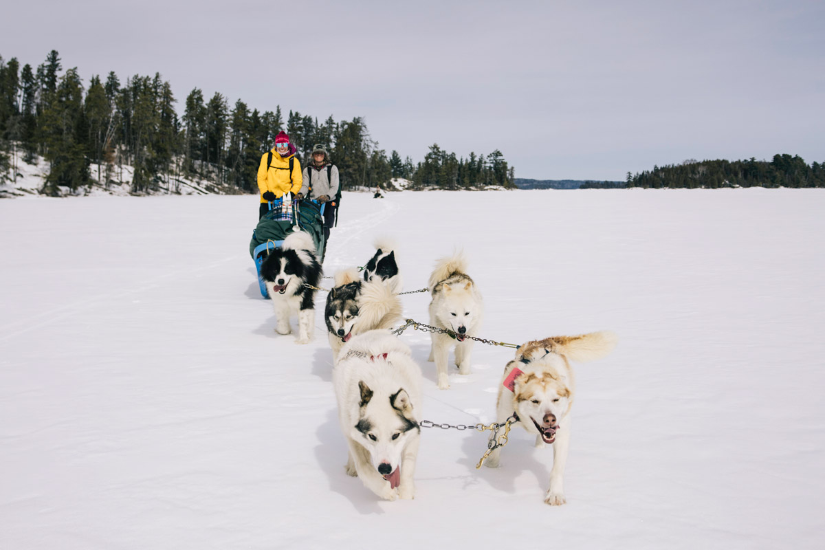 Dog hot sale sledding catskills