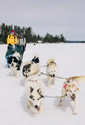Why Dogsledding Is the Best Way to See Minnesota's Boundary Waters