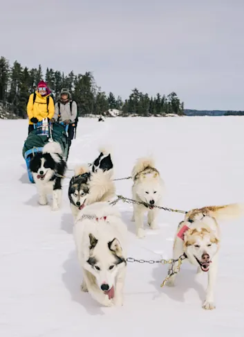 Why Dogsledding Is the Best Way to See Minnesota's Boundary Waters