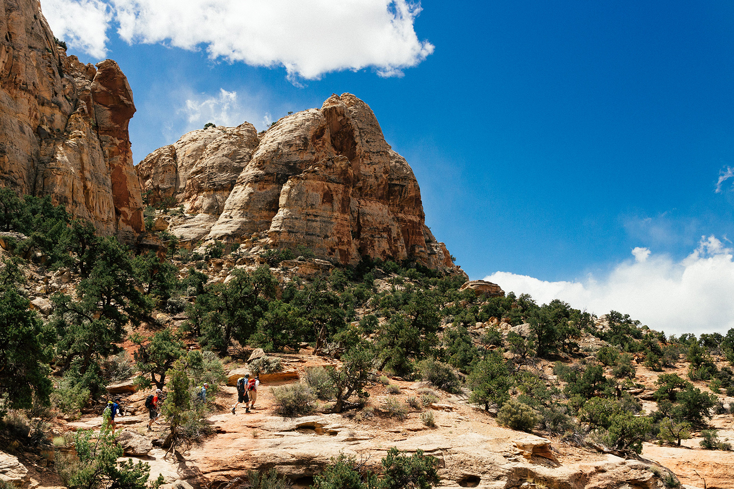 Canyoneering in Capitol Reef National Park Utah Field Mag