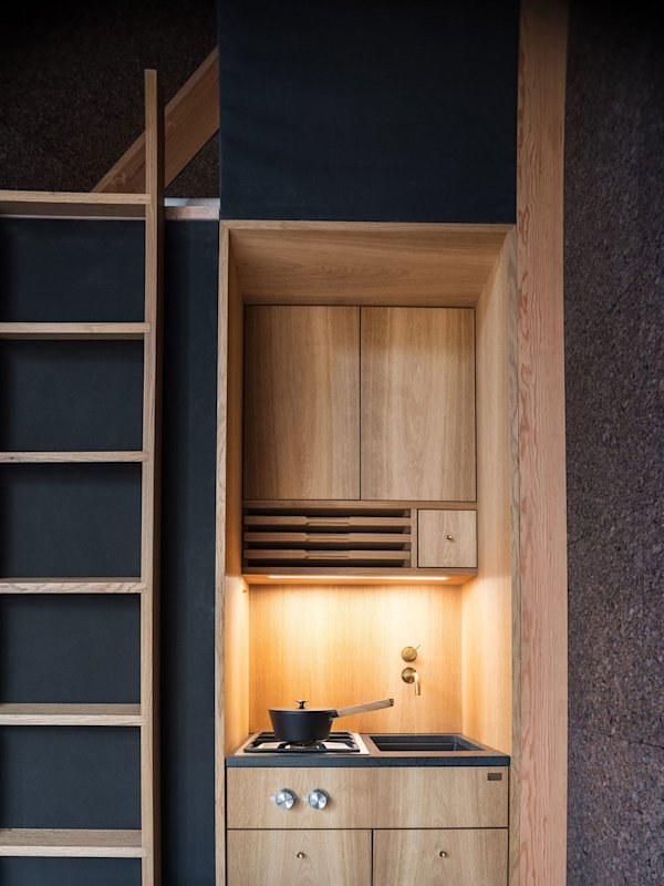 a45-big-cabin-ny-5