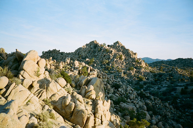 Ramon-Barcenas-Joshua-Tree-Field-Mag-2