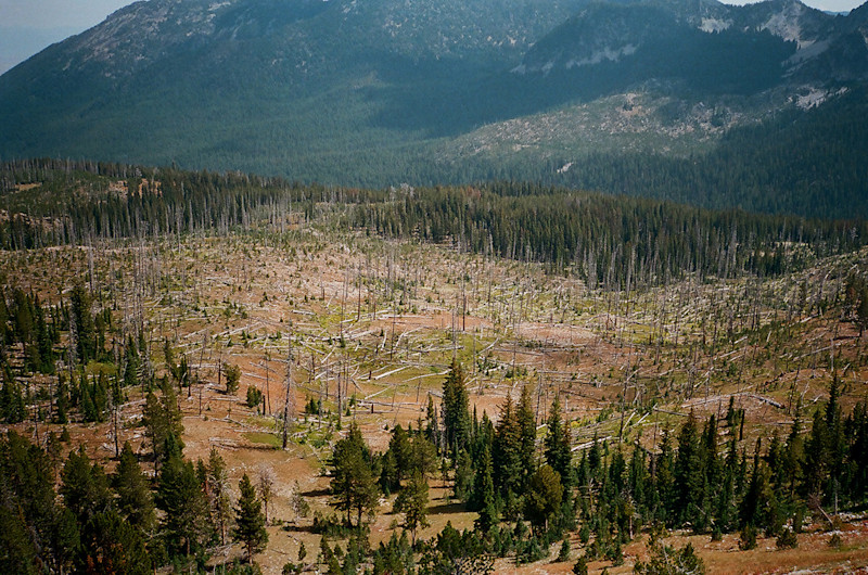 Hiemstra-Hike-2019-Elkhorns-Fieldmag-25
