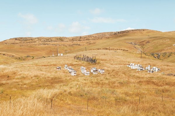 Johnie-Gal-Coast-Starlight-Amtrak-Fieldmag-14