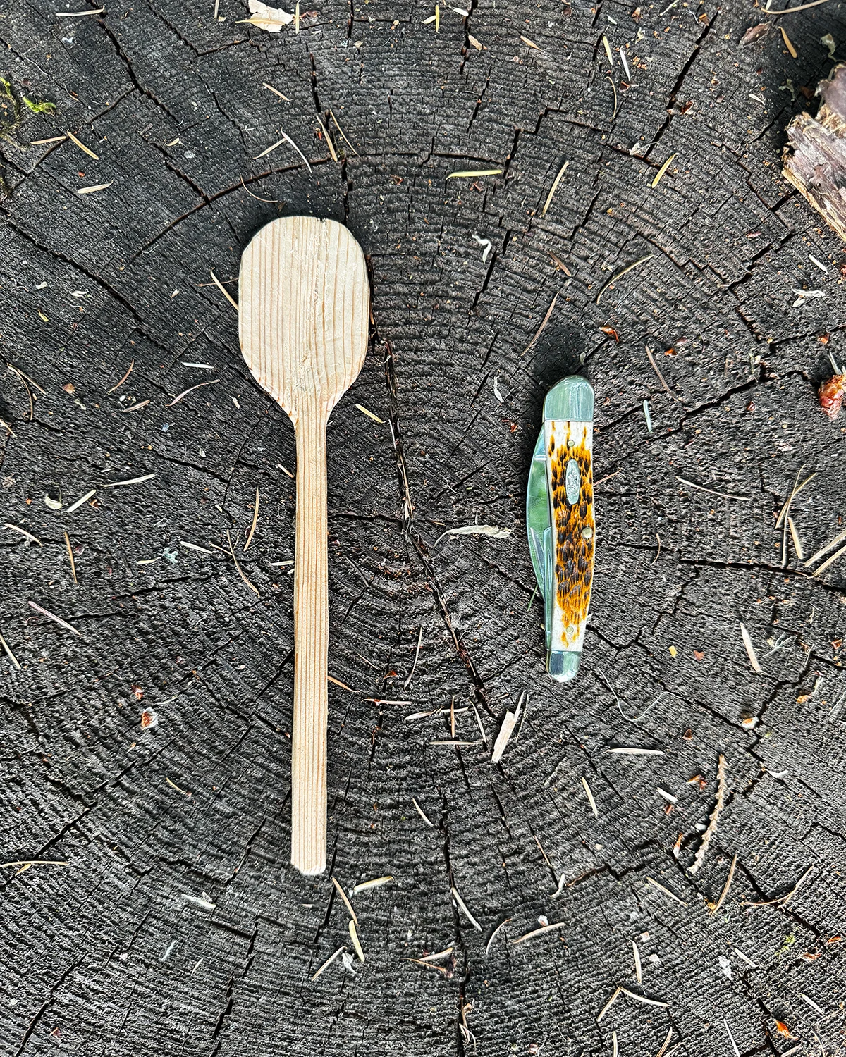 Case-Knife-Spoon-Carving-Finish