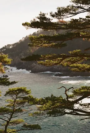 Michinoku Coastal Trail Winter Hiking Guide: Epic Views & No Crowds