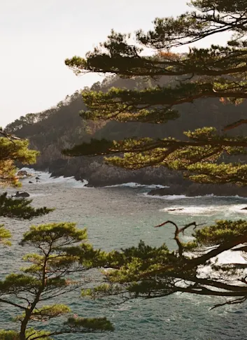 Michinoku Coastal Trail Winter Hiking Guide: Epic Views & No Crowds