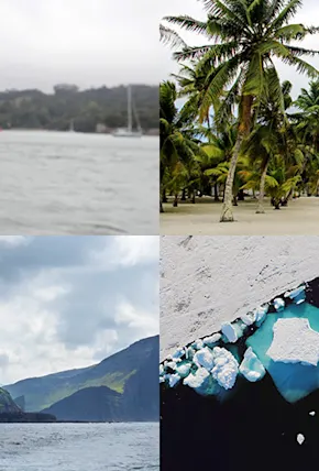 This Week's Best Articles, From Around the Web