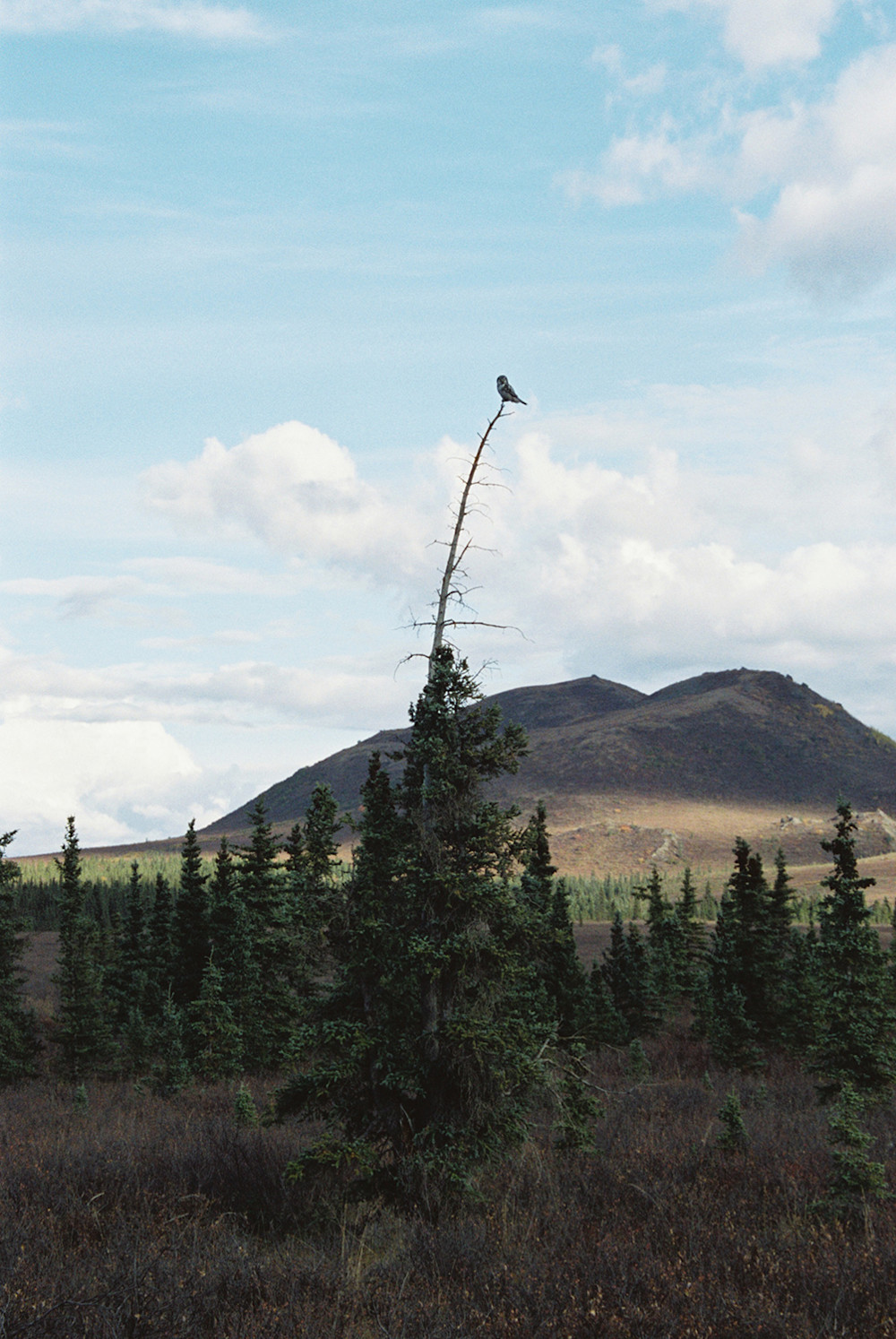 Upchurch-Alaska-Fall-10