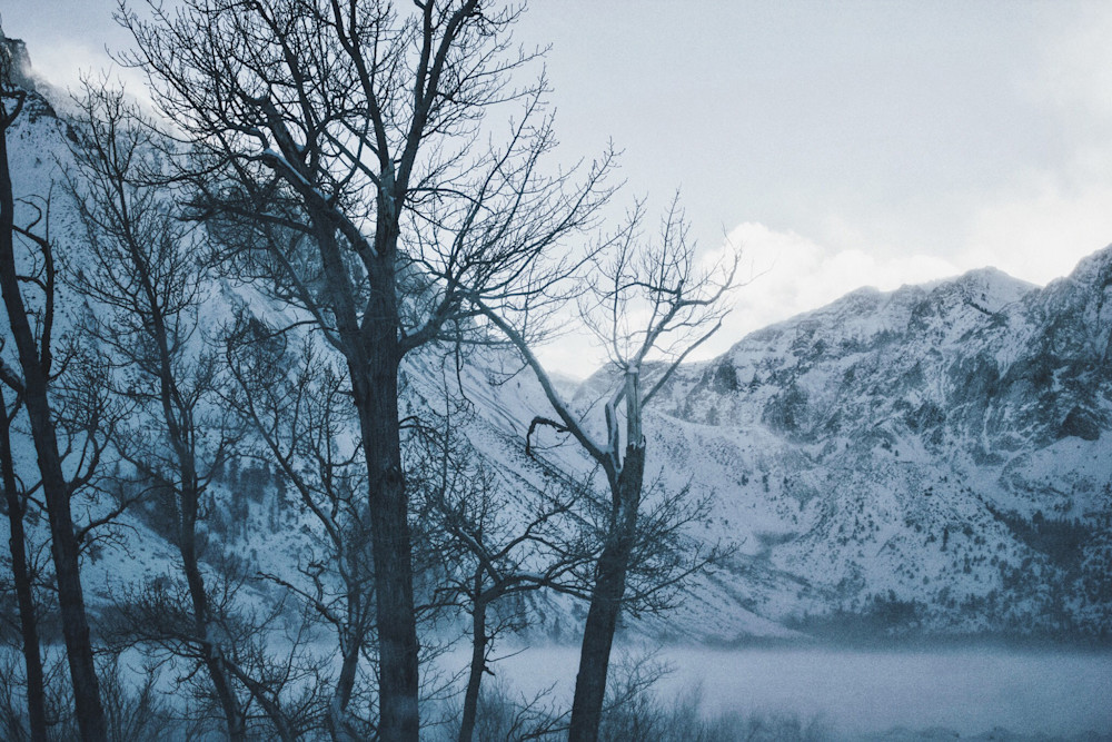Sarah-Attar-Eastern-Sierra-19